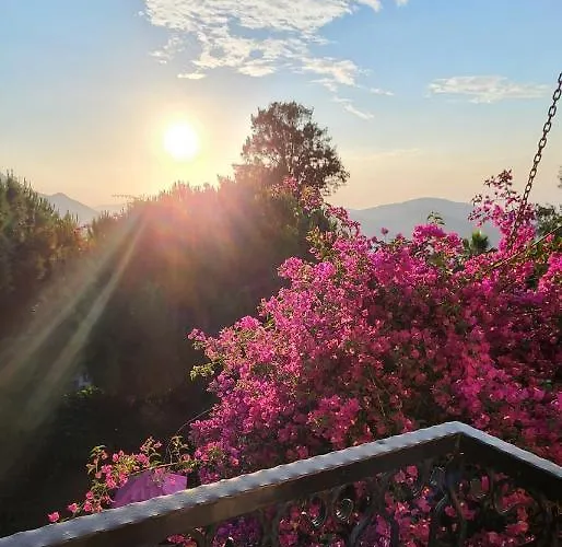 Antas Deluxe Aparts Lägenhet Cedit