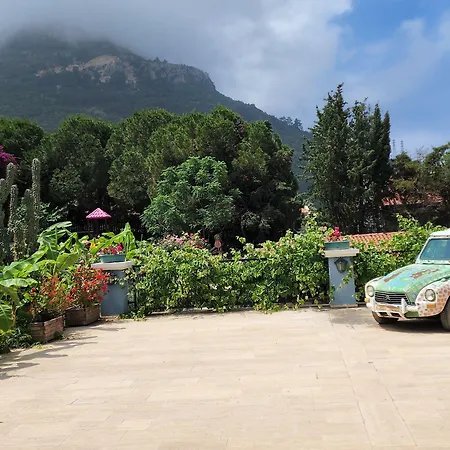 Antas Deluxe Aparts 아파트 Cedit